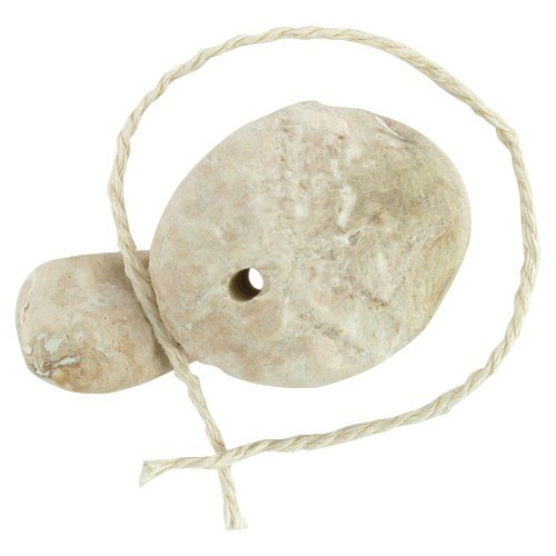 VEILCHENWURZEL Premium extra gro&szlig;