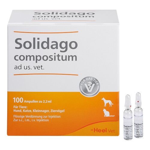 SOLIDAGO COMPOSITUM ad us.vet.Ampullen