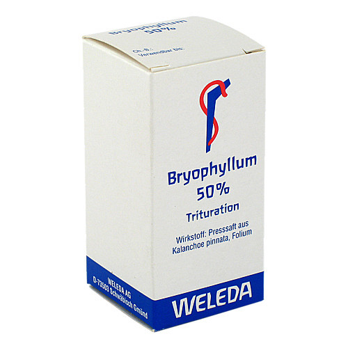 BRYOPHYLLUM 50% Pulver zum Einnehmen