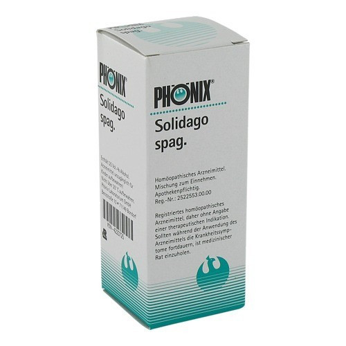 PH&Ouml;NIX SOLIDAGO spag.Mischung
