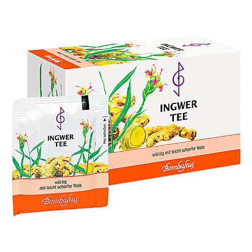 INGWER TEE Filterbeutel