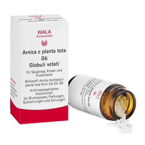 ARNICA E Planta tota D 6 Globuli