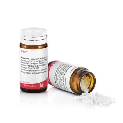 BARIUM/PANCREAS comp.Globuli