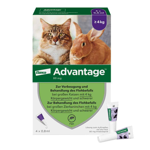 ADVANTAGE 80 mg f.gr.Katzen u.gr.Zierkaninchen