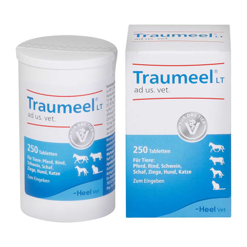 TRAUMEEL LT ad us.vet.Tabletten