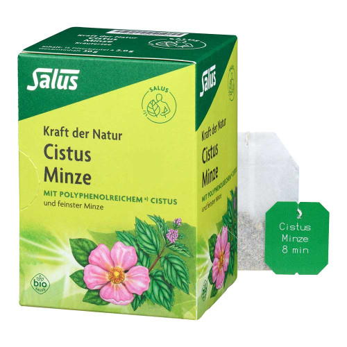 CISTUS MINZE Kr&auml;utertee bio Salus Filterbeutel