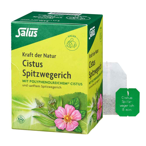 CISTUS SPITZWEGERICH Tee Bio Filterbeutel